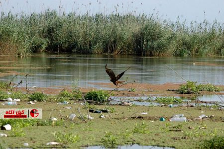راه اندازی دهکده بازنشستگان در استان گیلان