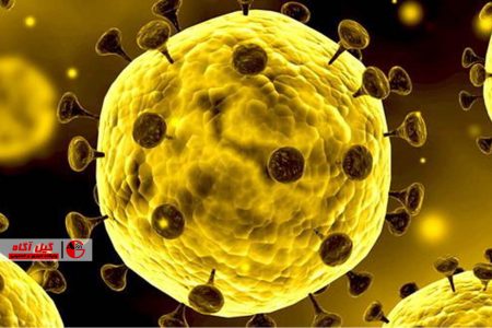 لزوم جلوگیری افزایش کرونای جدید در پیرترین استان کشور