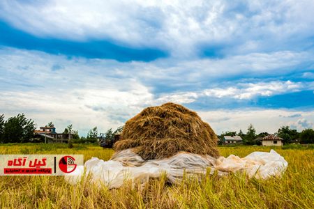 توصیه های هواشناسی به کشاورزان گیلانی