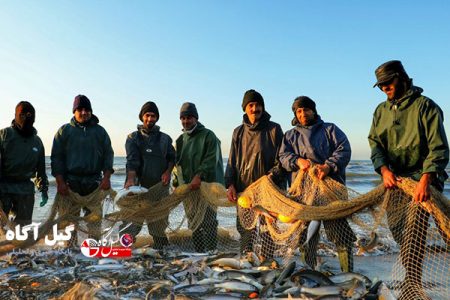 کاهش صید انواع ماهیان استخوانی در سواحل گیلان به ۱۴ درصد رسید