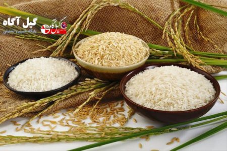 نابسامانی در سیستم تنظیم بازار برنج زنگ خطری برای رسیدن به خودکفایی