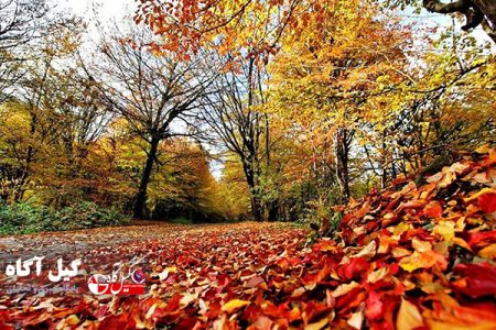 پیش بینی هوای گیلان در روزهای آینده