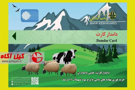 صدور دامدار کارت باهدف حمایت دامداران گیلانی