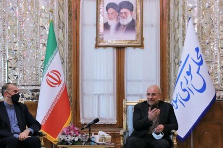 خواستار تسریع تصویب “قانون حمایت از ایرانیان” خارج از کشوریم