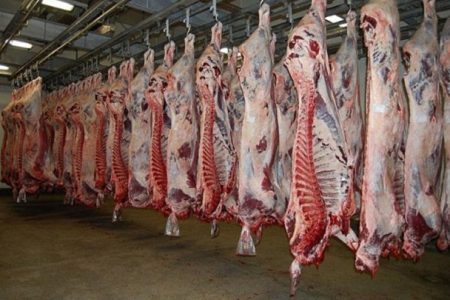 اجرا در آمدن طرح تشدید کنترل نظارت بهداشتی ویژه نوروز در گیلان