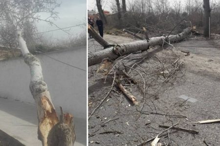 خسارت ۲۰ میلیارد ریالی به شبکه های توزیع برق استان گیلان