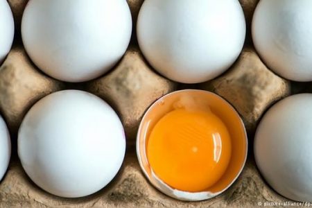 قیمت مصوب هر عدد تخم مرغ فله ۱۴۵۰ تومان