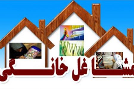 طرح ساماندهی مشاغل خانگی در گیلان اجرا می شود