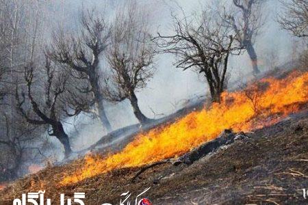 مهار آتش‌سوزی‌ جنگلهای رودبار گیلان/ ۴۰ هکتار در آتش سوخت