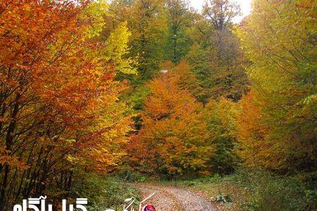 ترنم باران در آخرین روز‌های پاییز گیلان