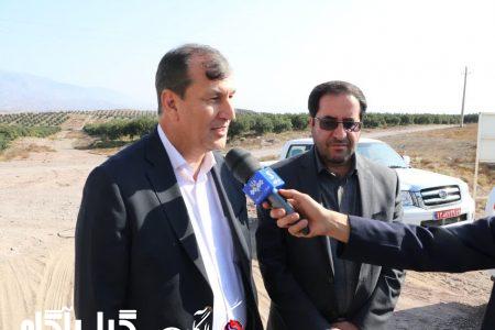 پیش‌بینی تولید بیش از ۱۷ هزار تن روغن زیتون در کشور