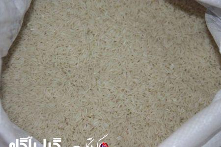 سیستم ارزیابی ویژگی‌های ظاهری و استاندارد برنج در گیلان رونمایی شد