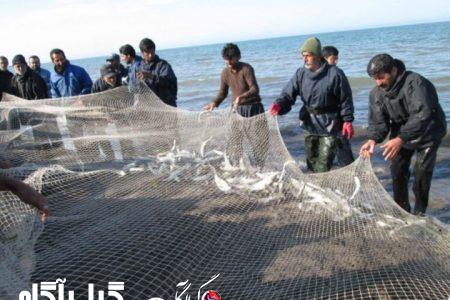 صید ۳۸۰ تن ماهی استخوانی از دریای خزر در گیلان