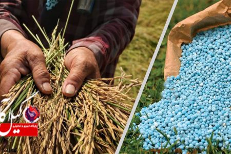 ثبات قیمت کودهای کشاورزی در گیلان
