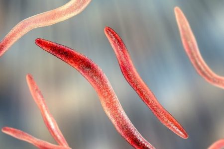 کشف ارتباط بین باکتریهای رایج دهان و ابتلا به بیماریهای گوارشی