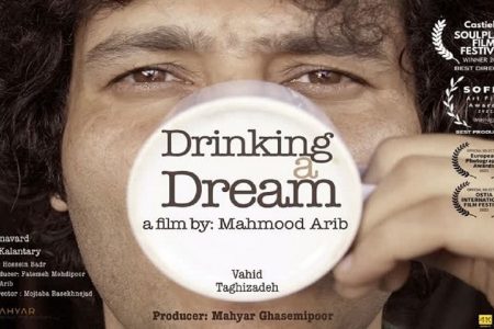 کسب تندیس بهترین کارگردانی هنرمند گیلانی در جشنواره ایتالیا