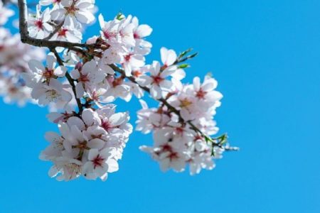 افزایش دما و باد گرم از فردا در گیلان