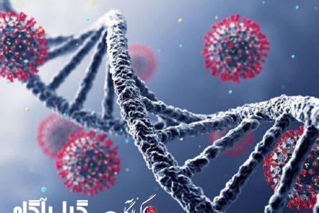 سویه جدید کرونا چه ویژگی هایی دارد؟