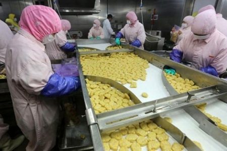 حمایت از صنایع غذایی در گیلان