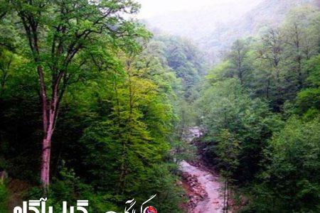 وزارت جهاد کشاورزی موظف به واگذاری نگهداری و توسعه پارک های جنگلی و مراتع به شهرداری شد