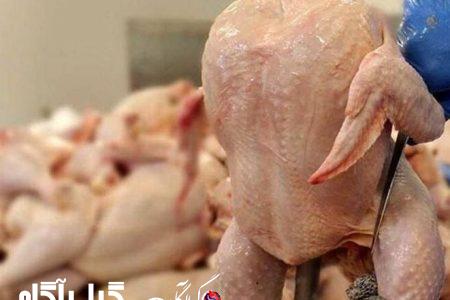 قیمت مرغ به زیر ۸۰ هزار تومان رسید