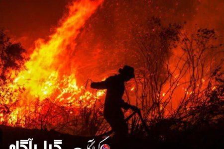 هشدار اتش‌سوزی در جنگل‌ها و مراتع گیلان