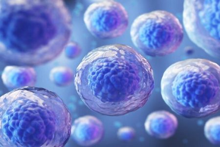 سلول درمانی با کمک سلولهای بنیادی مزانشیمی