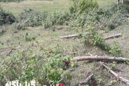 رفع تصرف ۱۵ هکتار از اراضی بستر رودخانه سفیدرود