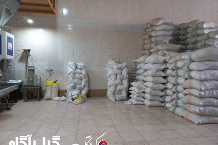 کشف ۳ تن برنج احتکار شده در شفت
