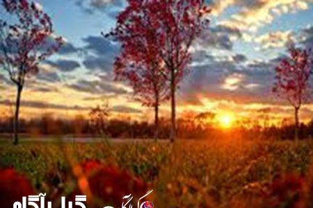 بازگشت هوای گرم به گیلان