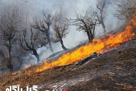 هشدار آتش سوزی در عرصه های طبیعی و جنگلی گیلان