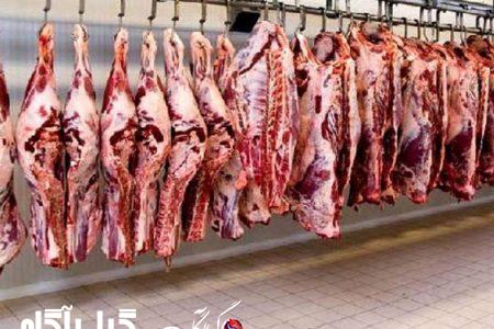 قیمت گوشت قرمز روند کاهشی به خود گرفت
