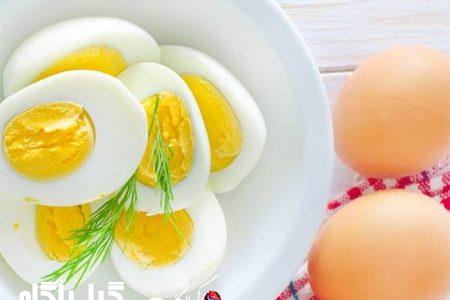 به هیچ وجه مصرف تخم مرغ را قطع نکنید!