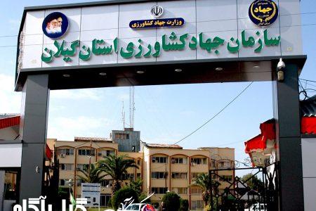 آزادسازی بیش از ۴۸ هزار مترمربع از اراضی کشاورزری در گیلان