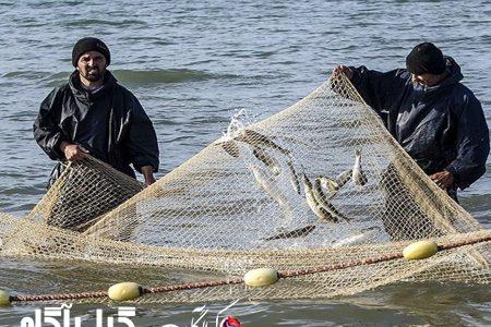 کاهش صید ماهیان استخوانی در پی شرایط جوی نامناسب
