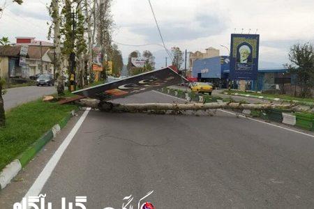 سقوط ۱۲ اصله درخت بر اثر باد شدید در رشت؛ شهروندان از تردد غیر ضروری خودداری کنند