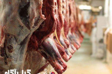 افزایش عرضه گوشت قرمز به بازار از ۲ هفته آینده
