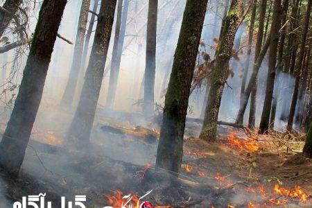 حریق در جنگل‌های سراوان رشت