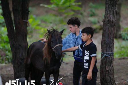 برگزاری مسابقه چوگان ساحلی با اسب کاسپین در تالش