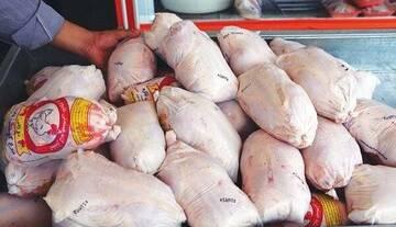 آخرین وضعیت قیمت مرغ