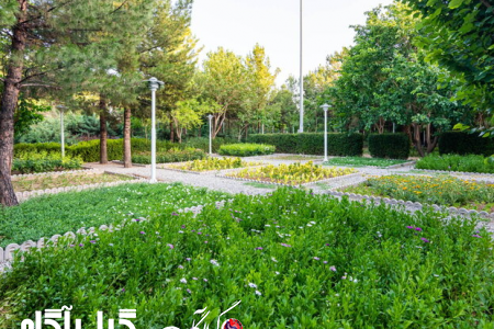 زندگی در نزدیکی فضاهای سبز موجب استحکام استخوان ها می شود