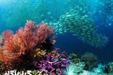 استقرار یگان حفاظت منابع آبزیان در نوار ساحلی گیلان