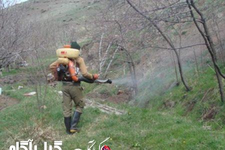 تأمین فراتر از سهمیه کود فسفات یارانه‌ای در گیلان