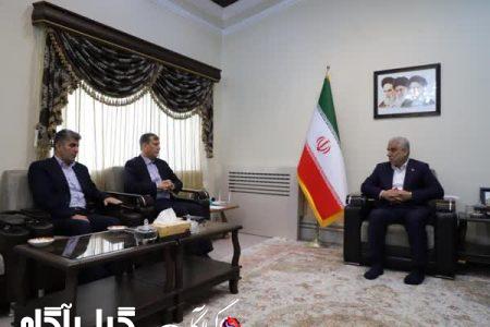 رونمایی از کلکسیون ارقام زیتون در گیلان