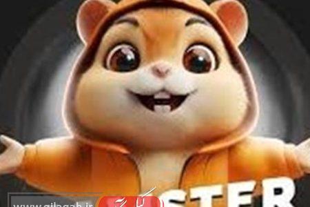 هشدار مرکز ملی فضای مجازی درباره هک حساب‌های مردم در همستر