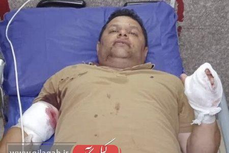 زخمی شدن یک جنگلبان به دست قاچاقچیان چوب در تالش