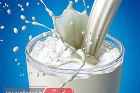 نظر وزیر جدید جهاد کشاورزی درباره افزایش قیمت شیرخام