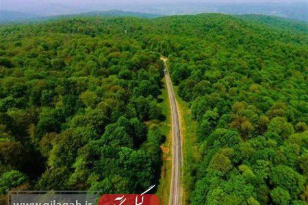 تکذیب الحاق ۳ هزار و ۶۰۰ هکتار از جنگل‌های گیلان به استان قزوین