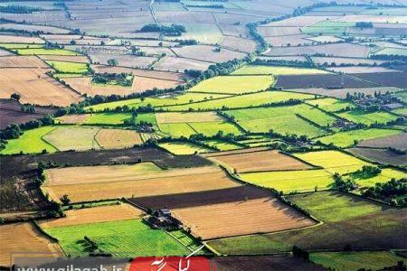 صدور سند ۶۸ درصد از اراضی زراعی گیلان