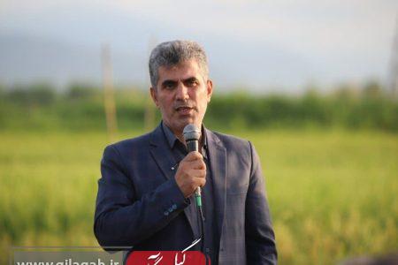 هدفگذاری ۱۱۰ هزار هکتار از اراضی کشاورزی گیلان برای کشت دوم